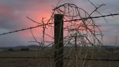 ABD-Meksika sınırı