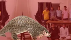 રાજકોટ, બીબીસી ગુજરાતી