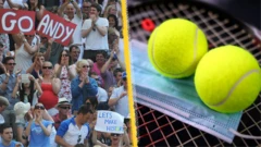 Wimbledon fans, balls and face mask