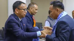 एन्फा