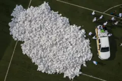 Voluntários do Plano de Solidariedade do Panamá transportando sacolas com alimentos para famílias de baixa renda