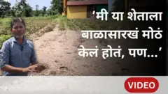 ‘मी या शेताला बाळासारखं मोठं केलं होतं’ सोयगावमधल्या शेतकऱ्यांची कहाणी