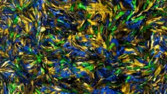 BRITISH HEART FOUNDATION, jantung, pembuluh darah, kompetisi