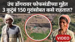 फोफसंडीची गुहा: 150 गायींसह अंधाऱ्या गुहेत राहणारी तीन कुटुंब