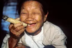 နင်တို့တော်တော်အဲယားပန်းနေကြပါလား