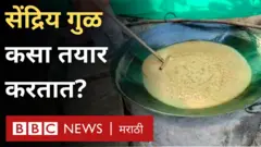 सेंद्रिय गूळ