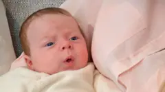 ہیوگو کی تصویر جو اب 10 ہفتے کا ہو چکا ہے