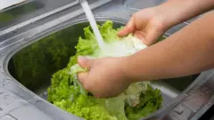 የሚታጠብ ሰላጣ