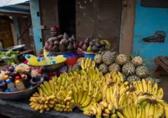 banana