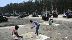 মাছ ধরার বন্ধ থাকায় নৌকা সাগর থেকে তুলে ফেলা হয়েছে।