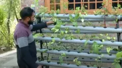 किसान
