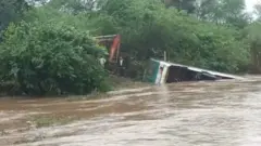 बस