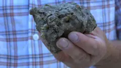 ਸ਼ਿਲਾਜੀਤ ਨੂੰ ਕੁਦਰਤੀ ਤੌਰ ’ਤੇ ਜਿਨਸੀ ਤਾਕਤ ਦਾ ਸਰੋਤ ਮੰਨਿਆ ਜਾਂਦਾ ਹੈ