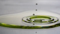 Gotas de aceite de oliva