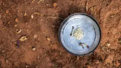 சோமாலியா உணவுப் பற்றாக்குறை