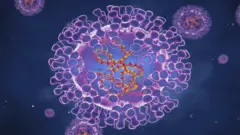 Monkeypox virüsü