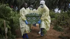 More dan 2,000 pipo don die from Ebola for DR Congo since August 2018.