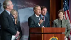 Lindsey Graham Von Hallen