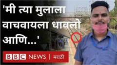 मयुर
