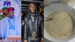 President Bola Tinubu, Burna Boy, and plate of garri