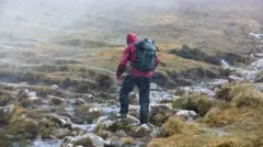 Dataran Tinggi Skotlandia.