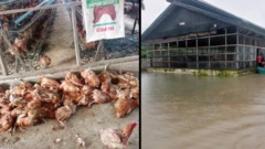 Flood in Nigeria