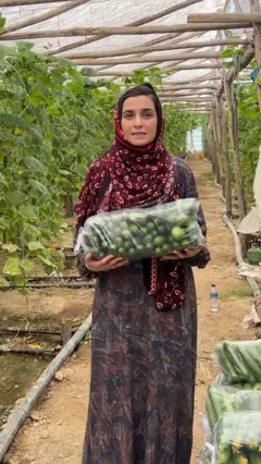 تصویر گزارشگر 