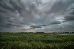 વાતાવરણ વરસાદ 