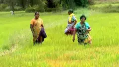 பரந்தூர்: விமான நிலையம் அமைக்கும் இடத்தை மாற்ற தமிழக அரசு கோரவில்லையா? திட்டத்தின் நிலை என்ன?