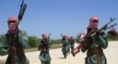 Mayaƙa masu iƙirarin jihadi 