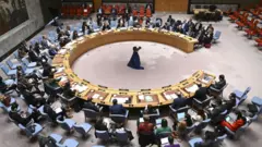 اقوام متحدہ کی سلامتی کونسل میں پاکستان کو دو اہم ذمہ داریاں ملنے پر انڈیا کو تشویش کیوں؟