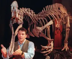 La conférence de presse a eu lieu le 12 novembre au National Geographic de Washington D.C. Sereno et son équipe ont découvert les restes de ce dinosaure lors de fouilles dans une zone reculée du Sahara, au Niger.