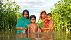 પ્રતીકાત્મક તસવીર