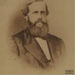 Retrato de D. Pedro 2º