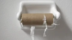 bitmiş tualet kağızı