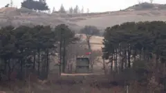 Зеленое строение среди деревьев