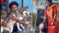 తెలంగాణ, జంతువులు, చట్టం