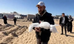 غزہ