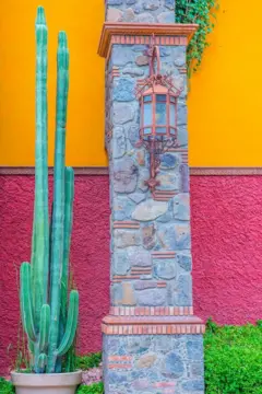 Detalhe de construção com vaso de cactos tendo ao fundo as paredes coloridas de uma casa em San Miguel de Allende, no México
