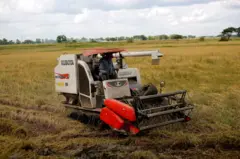 မိုးစပါး၊ စစ်ရေး၊ လောင်စာဆီ