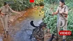 కేరళ, కింగ్ కోబ్రా, అటవీ శాఖ