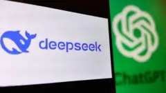 DeepSeek, அமெரிக்கா - சீனா