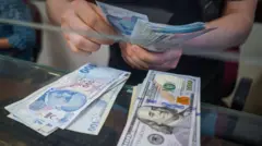 TL ve ABD doları