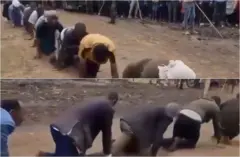 Maanguddoota, abbootii amantaa, dubartootaafi namoota nagaa biroo hidhattoonni Faannoo yeroo daa'imsiisan