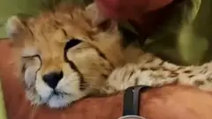 لحظه وداع