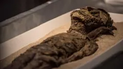 Há mais de 7 mil anos, povo pescador que vivia na costa chilena desenvolveu técnicas de embalsamamento; múmias foram incluídas neste ano em Lista do Patrimônio Mundial da Unesco.