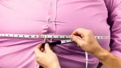 sdx