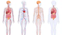 saxaxa kompiyutaraa qaama dhala namaa agarsiisu