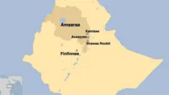 Danaa Kamisee