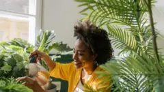 Photo d'une femme arrosant ses plantes